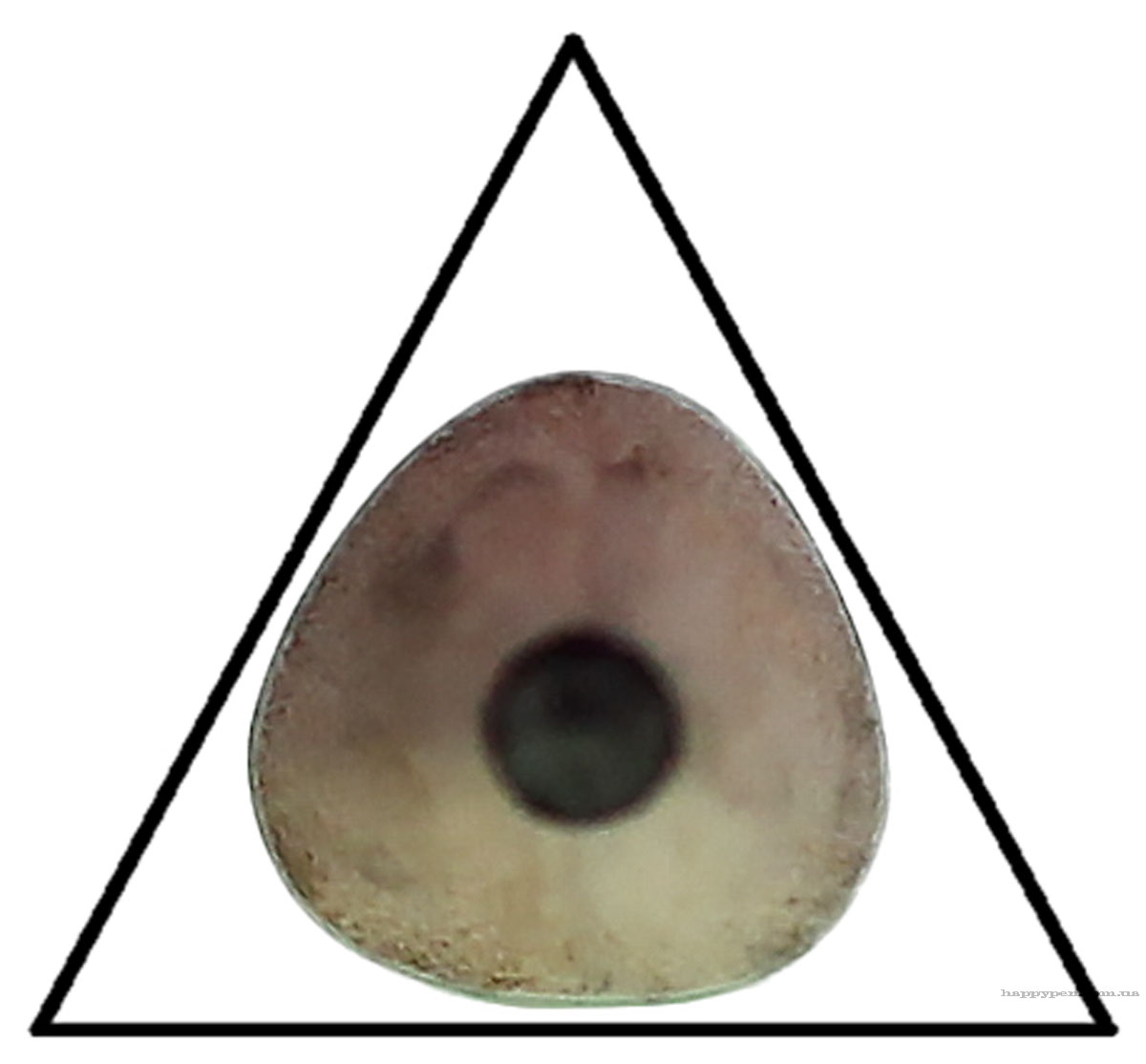 Карандаш чернографитный с резинкой НВ, корпус треугольный, ассорти NORMA - фото 3