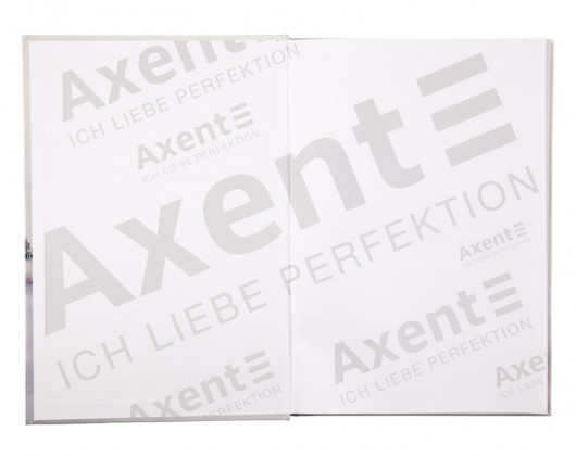 Книга обліку 192арк., тверда обкладинка,  клітинка Axent — фото 5