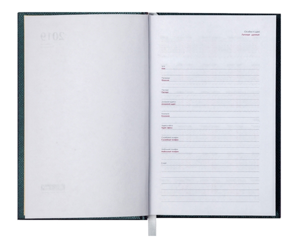 Щоденник не датований DIAMANTE, (150*210мм.), 144арк., бум., лінійка, малиновий BuroMax - фото 3