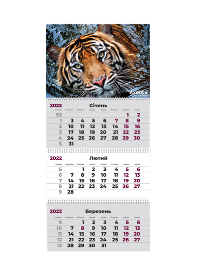 Календарь настенный квартальный на 2022 г. (3 пружини) Тигр Axent - фото 1