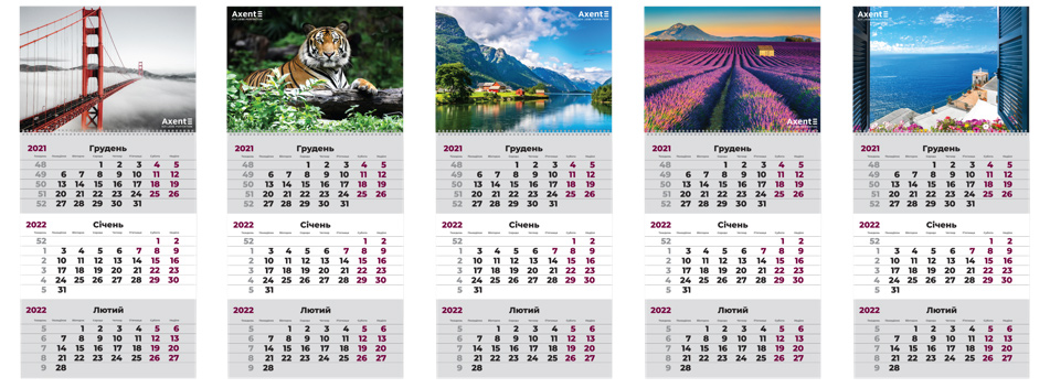 Календарь настенный квартальный на 2022 г. (1 пружина) Мост Axent - фото 3