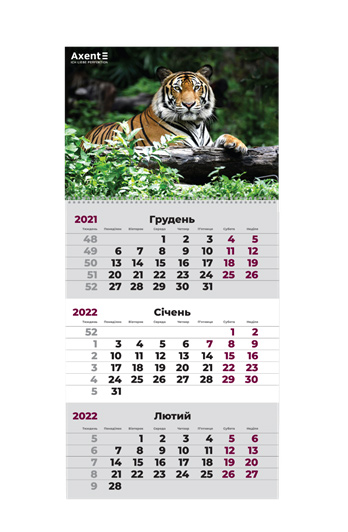 Календарь настенный квартальный на 2022 г. (1 пружина) Тигр Axent - фото 1