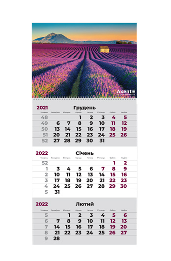 Календарь настенный квартальный на 2022 г. (1 пружина) Лаванда Axent - фото 1