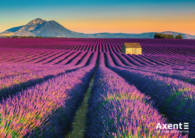 Календарь настенный квартальный на 2022 г. (1 пружина) Лаванда Axent - фото 2