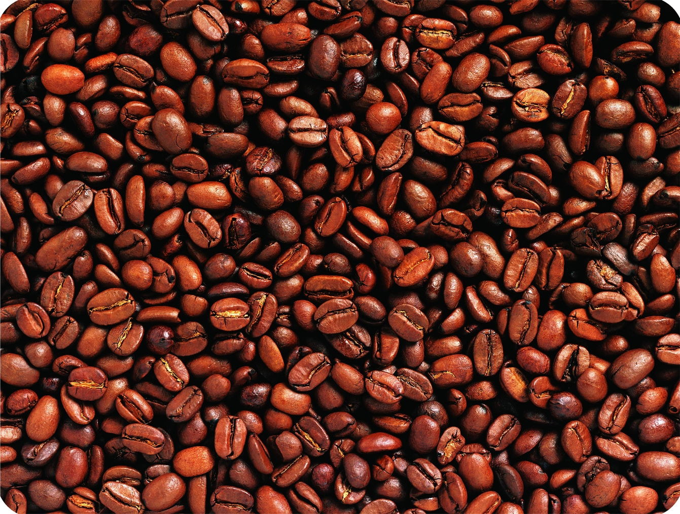 Коврик для компьютерной мыши, пластик/силикон Sticker, 220х180х0.4 мм, ассорт. Defender - фото 2