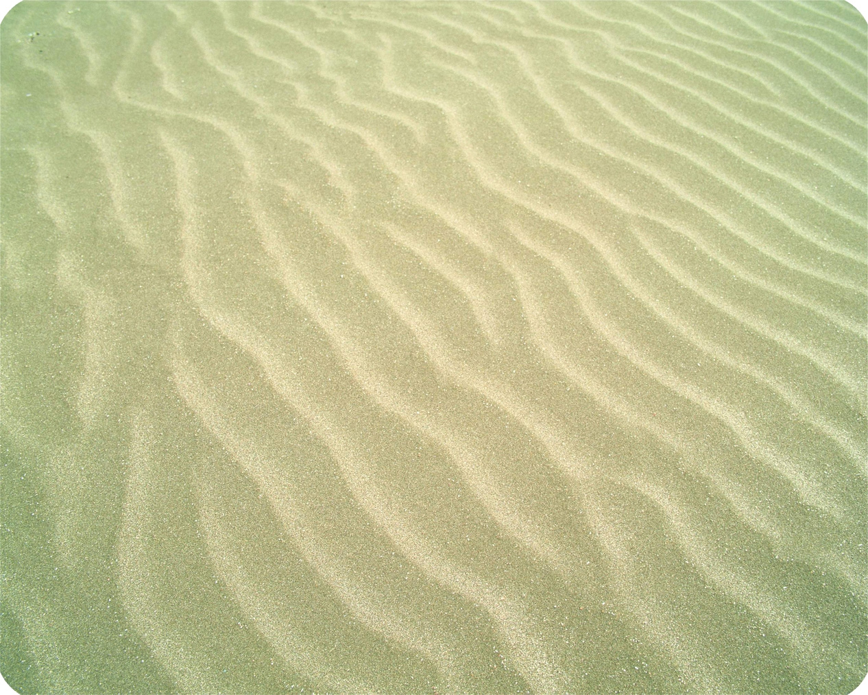 Коврик для компьютерной мыши, пластик/силикон Sticker, 220х180х0.4 мм, ассорт. Defender - фото 4