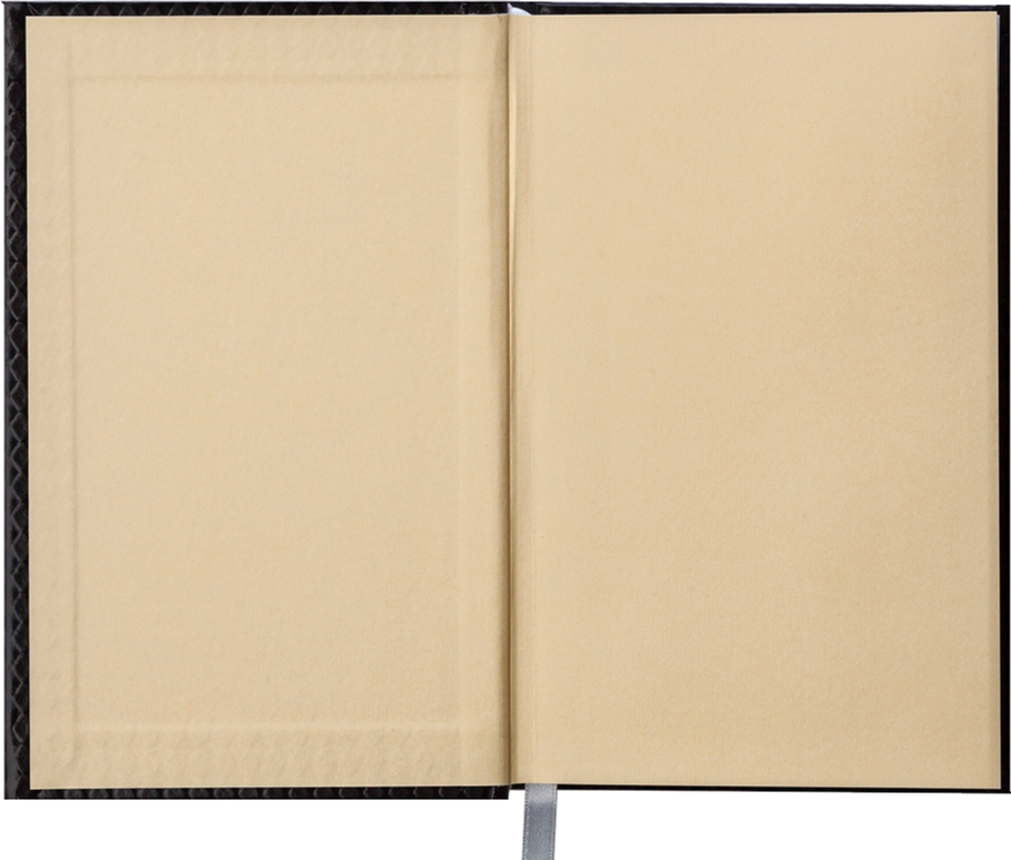 Щоденник не датований DIAMANTE, (150*210мм.), 144арк., бум., лінійка, малиновий BuroMax - фото 4