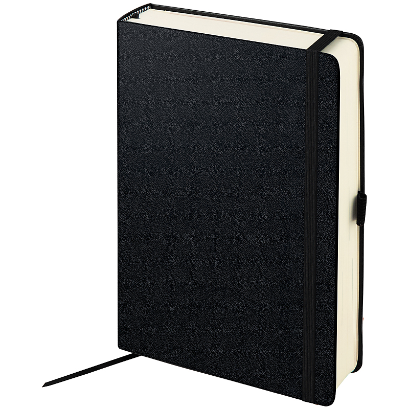 Щоденник датований 2022 Euro Компаньйон Strong, 14.8х21см., чорн. Brunnen - фото 2