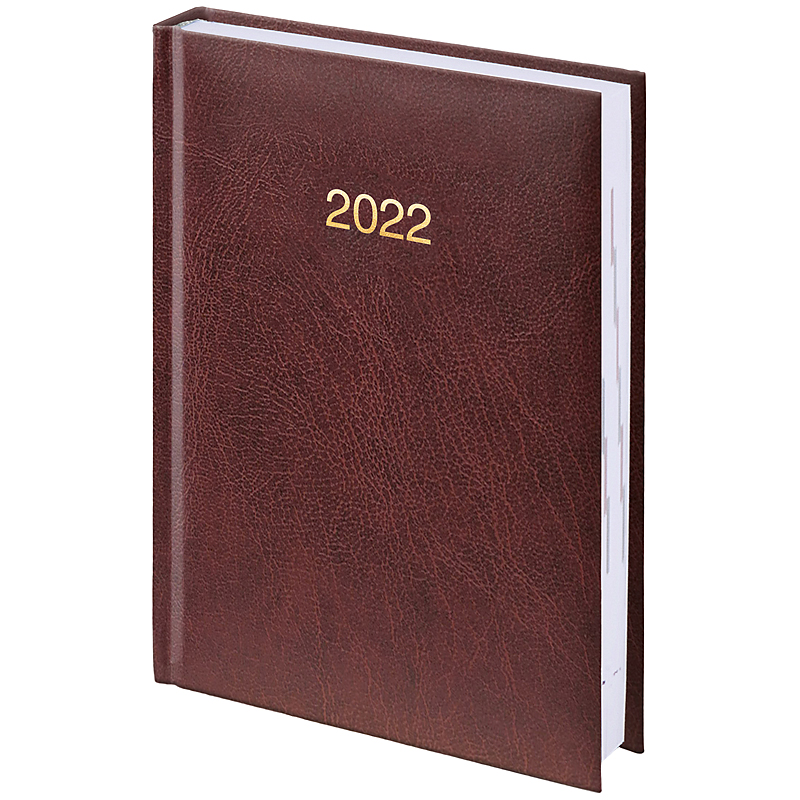 Ежедневник датированный 2022 карманный Miradur, 10х14см., борд. Brunnen - фото 2
