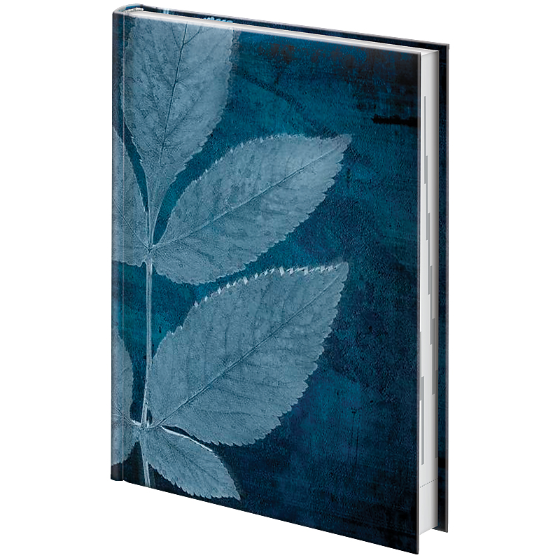 Ежедневник датированный 2022 Стандарт Графо Leaves, 14,5х20,6см. , син. Brunnen - фото 1