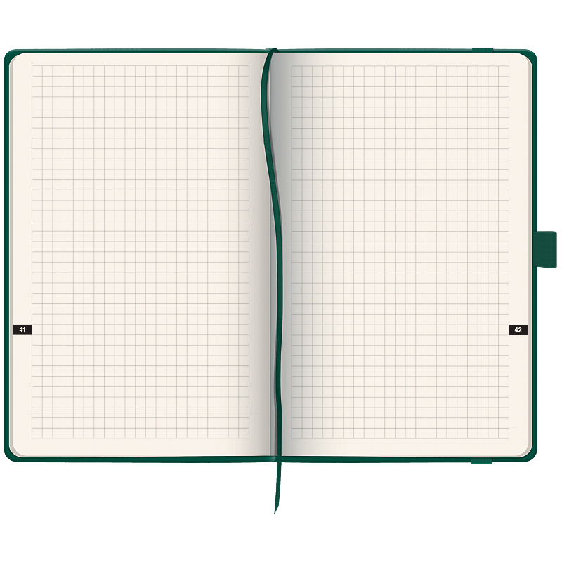 Еженедельник датированный 2022 Смарт Strong,12,5х19,5см., 12,5х19,5см.,  глубокий зелен. Brunnen - фото 2
