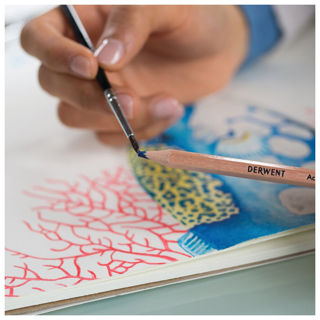 Карандаши цветные 24цв. акварельные Watercolour, метал. коробка, ассорт. Derwent - фото 2