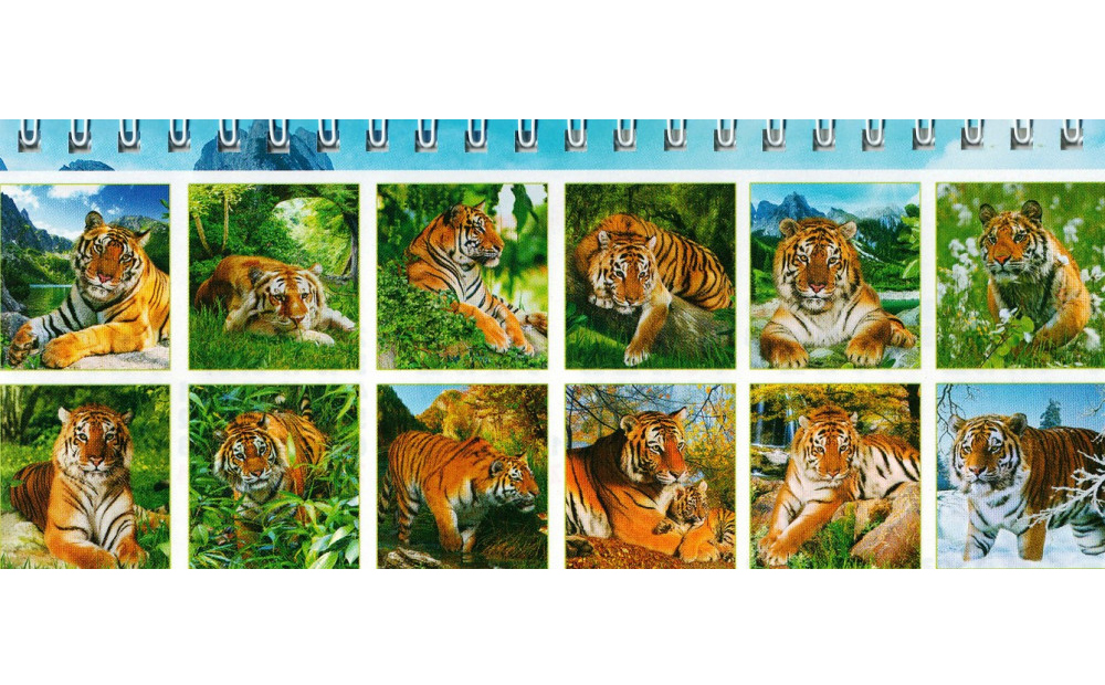 Календарь настольный Год Тигра 1, 210*100мм 2022г. Украина - фото 1