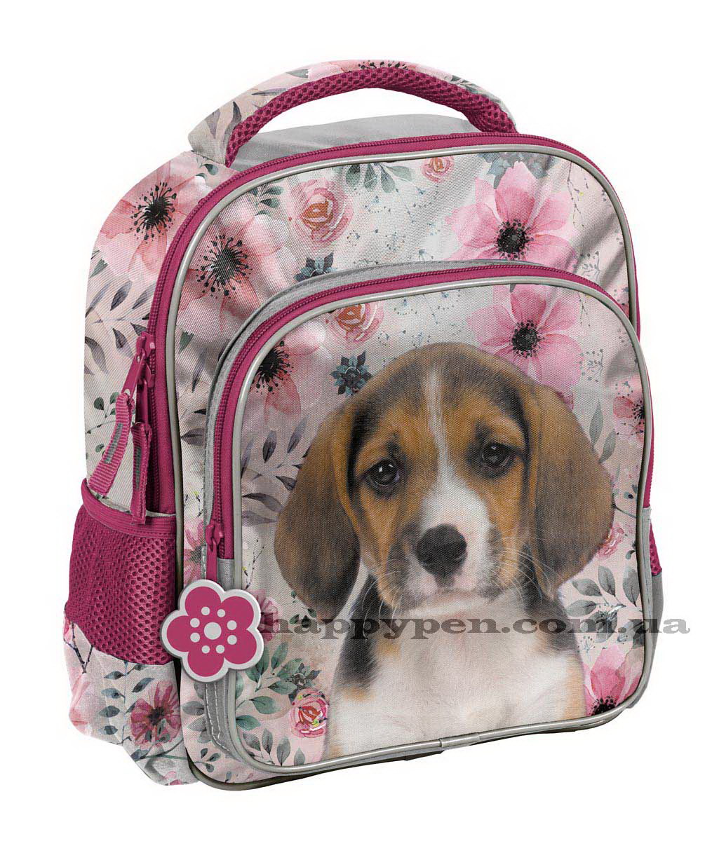 Рюкзак 18-337PS Paso - фото 1