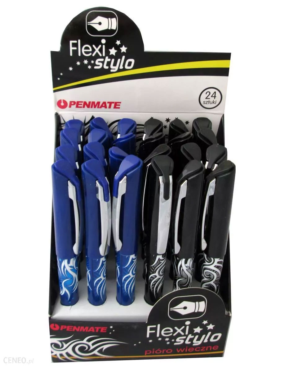 Дисплей чорнильна ручка Flexi Stylo, 24шт. Penmate - фото 2