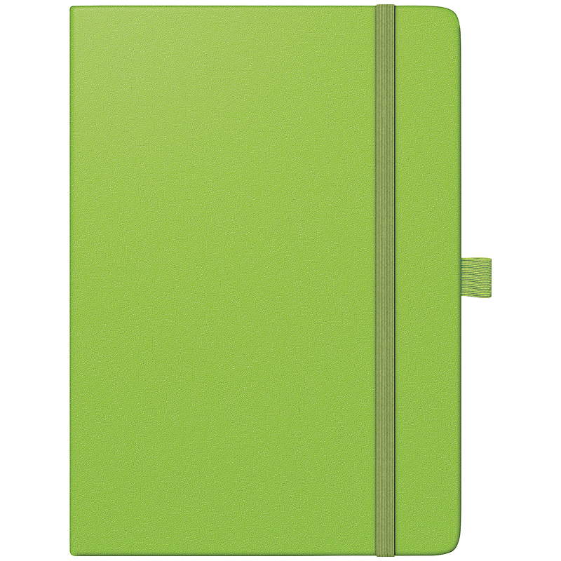 Еженедельник датированный 2022 Euro Компаньон Strong А5, 14.8х21см., салат. Brunnen - фото 1