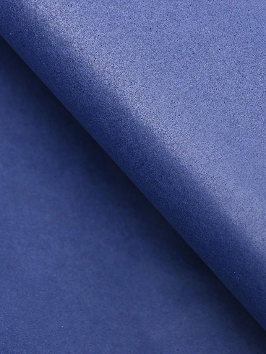 Папір кольоровий Тіш'ю, 10акр., 50*66см,, син. WB - фото 1