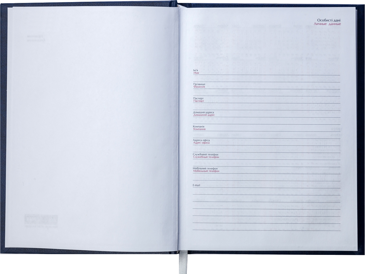 Ежедневник не датированный Expert, 150*205мм., 144л., бумвинил, линейка, син. BuroMax - фото 6