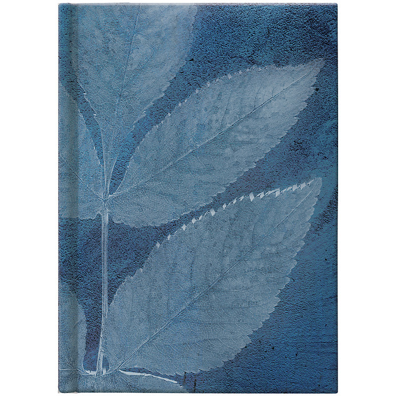 Щоденник датований 2022 кишеньковий Графо Leaves, 10х14см. , син. Brunnen - фото 3