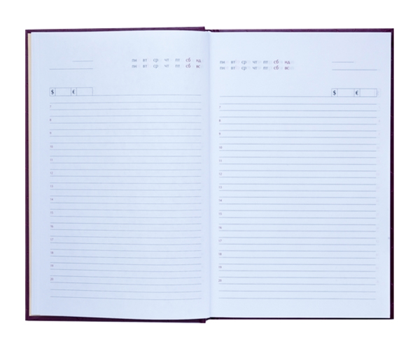 Щоденник не датований DIAMANTE, (150*210мм.), 144арк., бум., лінійка, малиновий BuroMax - фото 6