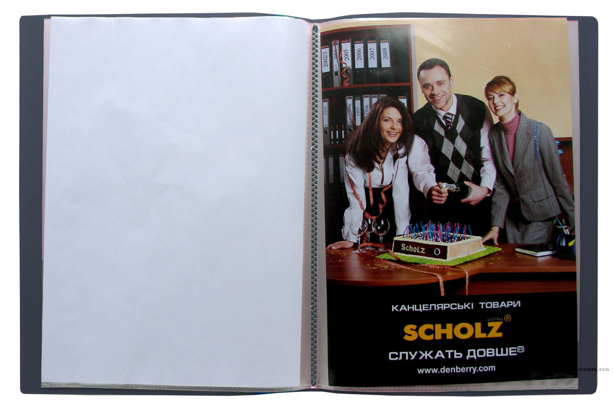 Папка на 60 файлів, пластик, товщина 800мкм., сір. Scholz - фото 3