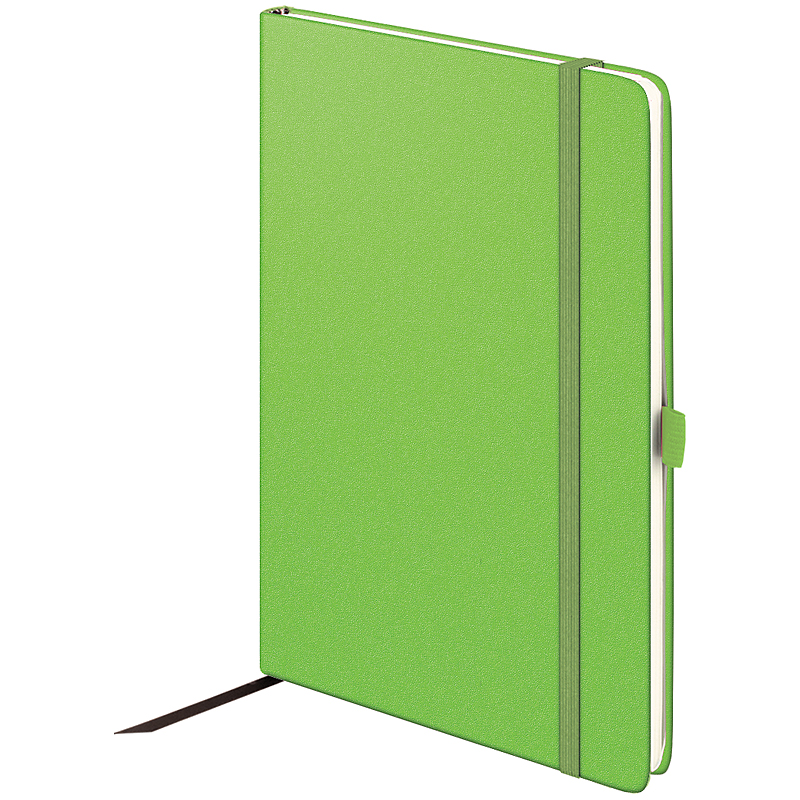 Еженедельник датированный 2022 Euro Компаньон Strong А5, 14.8х21см., салат. Brunnen - фото 2