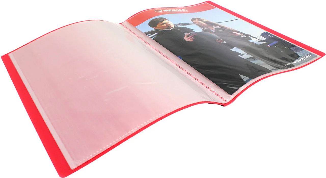 Папка на 10 файлів, товщина 600мкм, асорті NORMA - фото 3