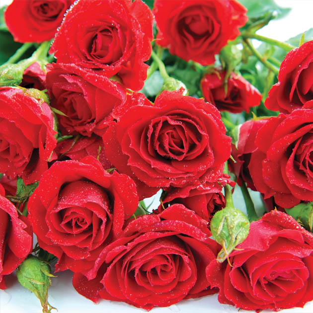 Пакет подарочный 25 х 37 х 8см. Украина - фото 1