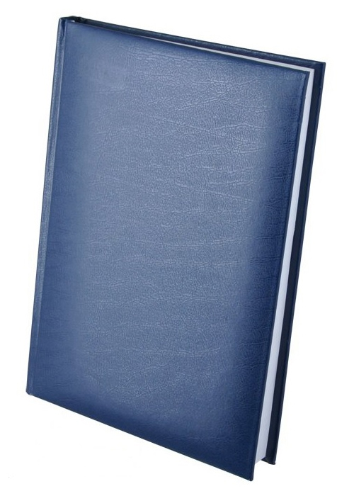 Ежедневник не датированный Expert, 150*205мм., 144л., бумвинил, линейка, син. BuroMax - фото 7