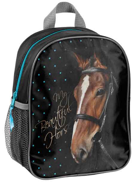 Рюкзак 17-303KO Paso - фото 1