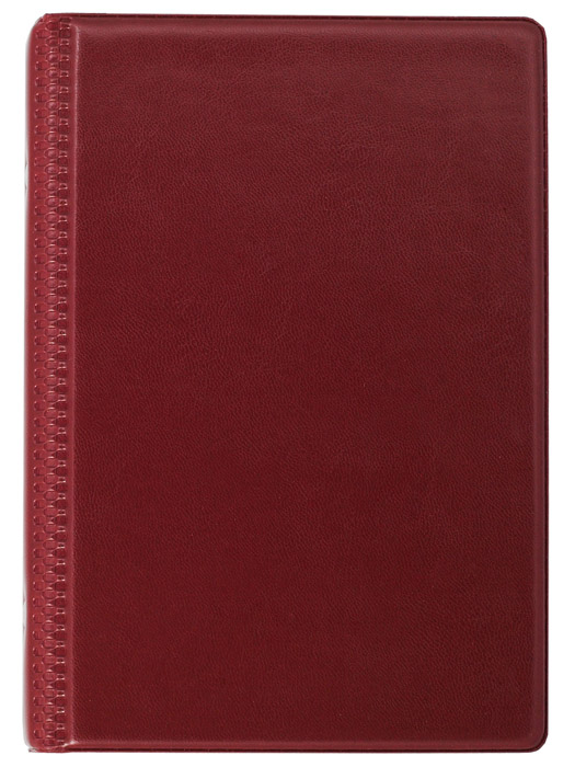 Візитниця на кільцях 120 візиток, вінілова обкладинка, бордо BuroMax - фото 1