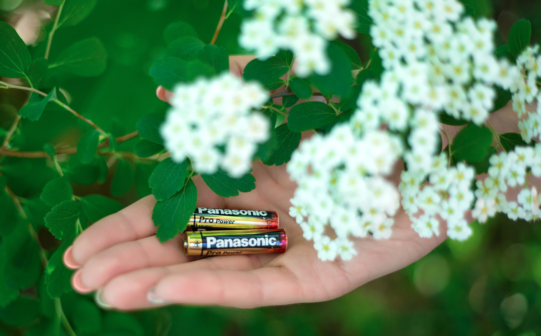 Батарейка LR6 (AA) Pro Power, 4шт./уп. Panasonic - фото 1