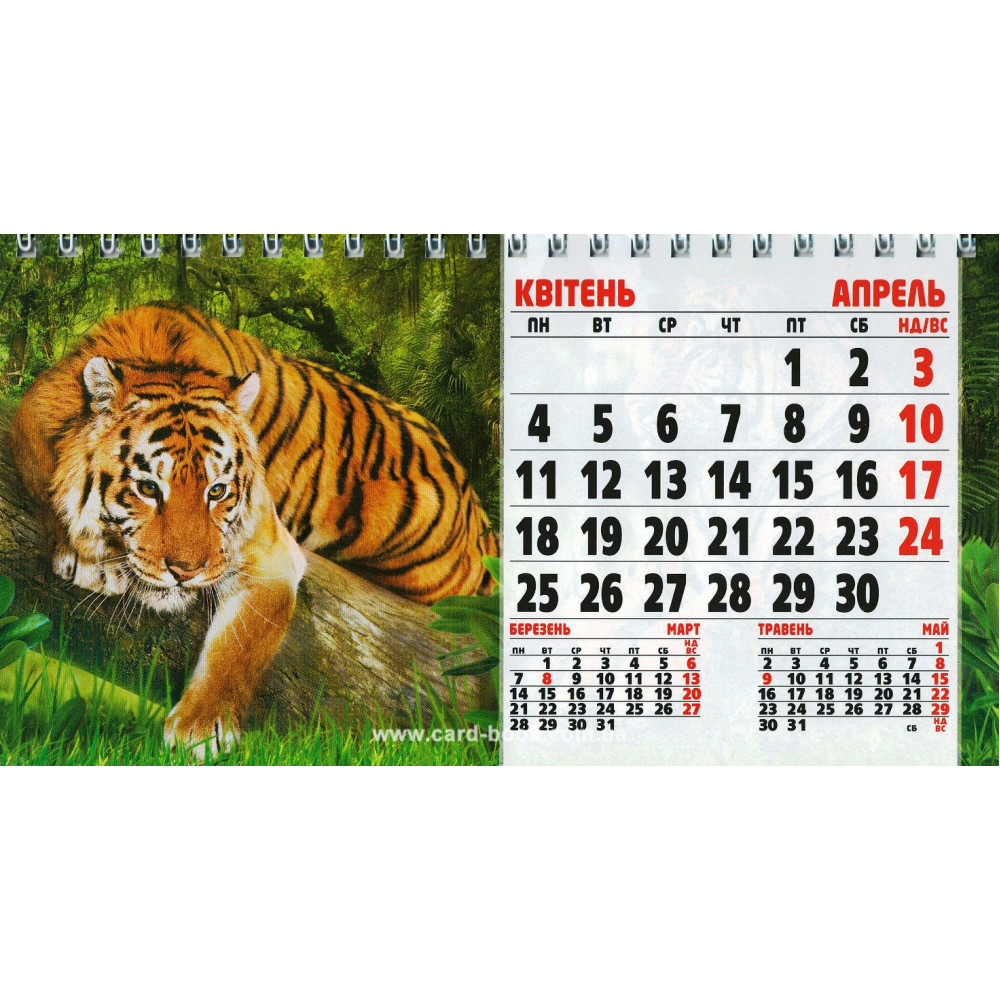 Календарь настольный Год Тигра 1, 210*100мм 2022г. Украина - фото 3