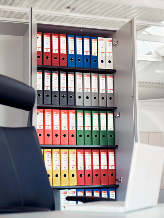 Регистратор 7,5см. А4 (PP), Econom, желт. Esselte - фото 2