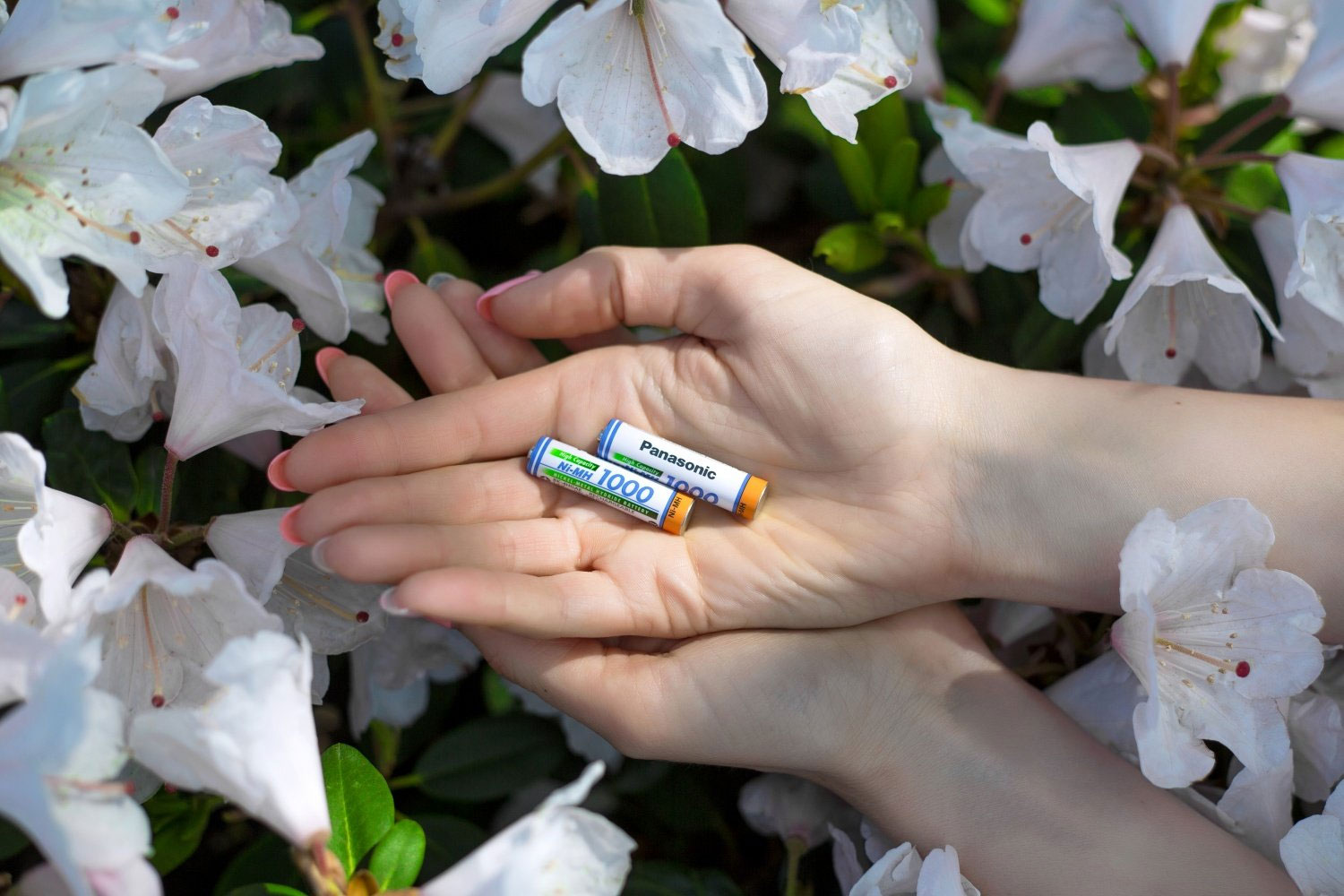 Аккумулятор ААA (HR3), 1000мАч., 2шт./уп. Panasonic - фото 3