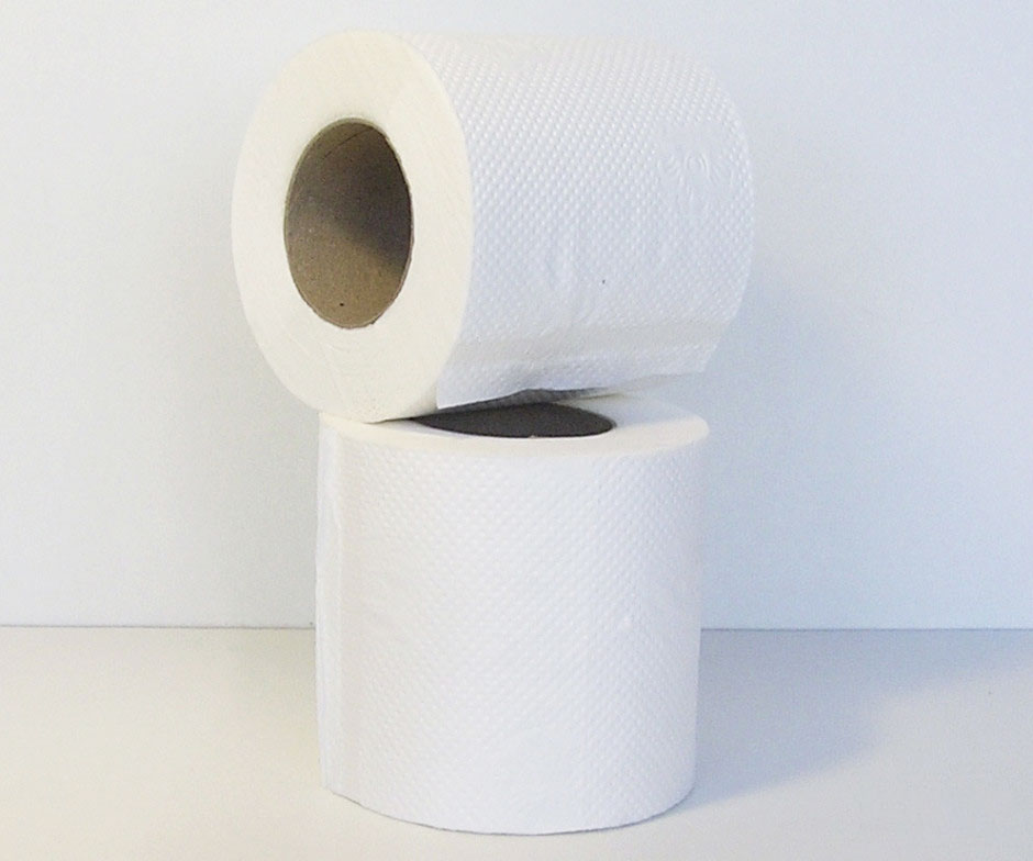 Папір туалетний Стандарт, 2-х шар., целюлоза, 210відр.(9*11см.), 24шт./уп., біл. BIMA - фото 1