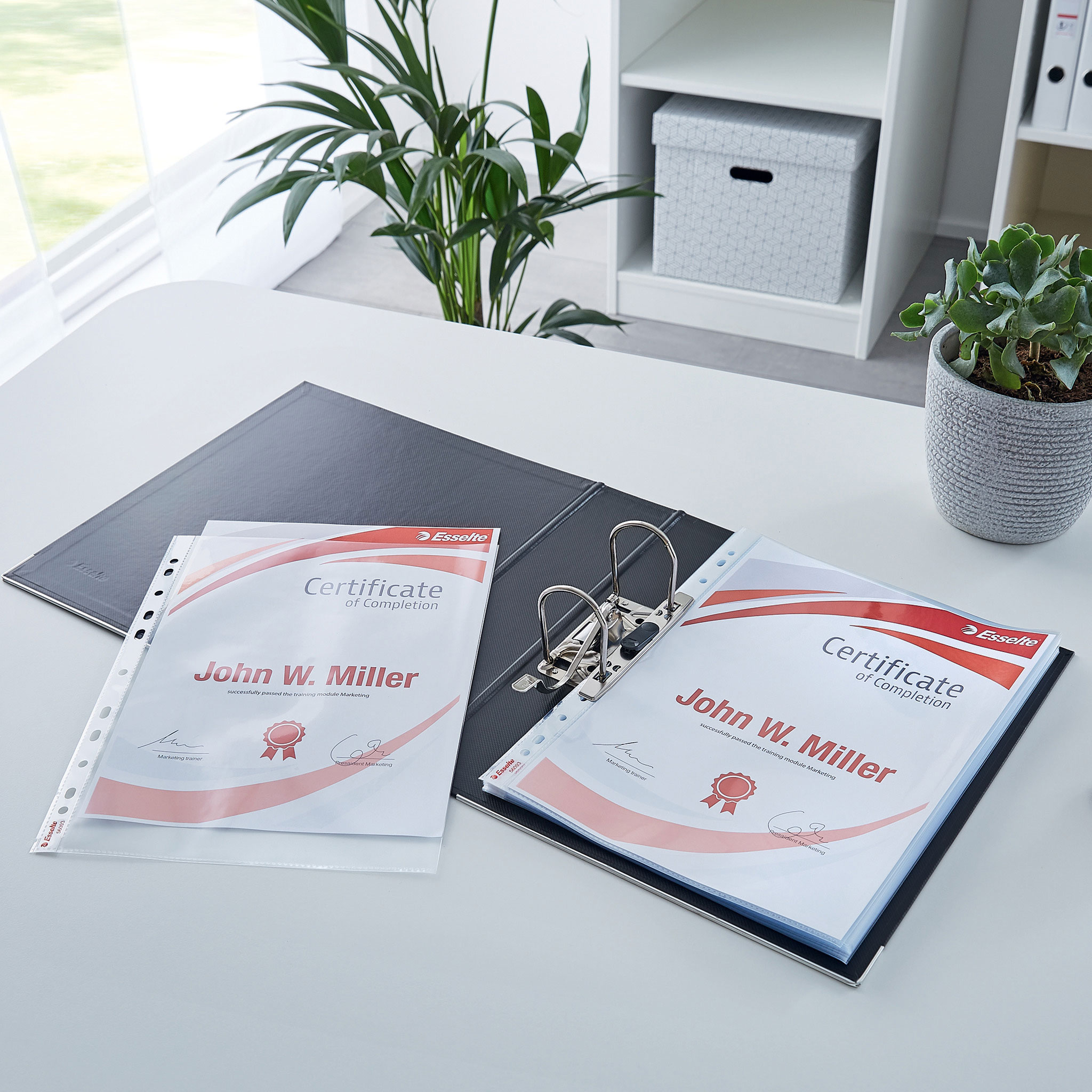 Файл Premium глянцевый А4, 105мкм., верхний разрез, 10шт./уп. Esselte - фото 5