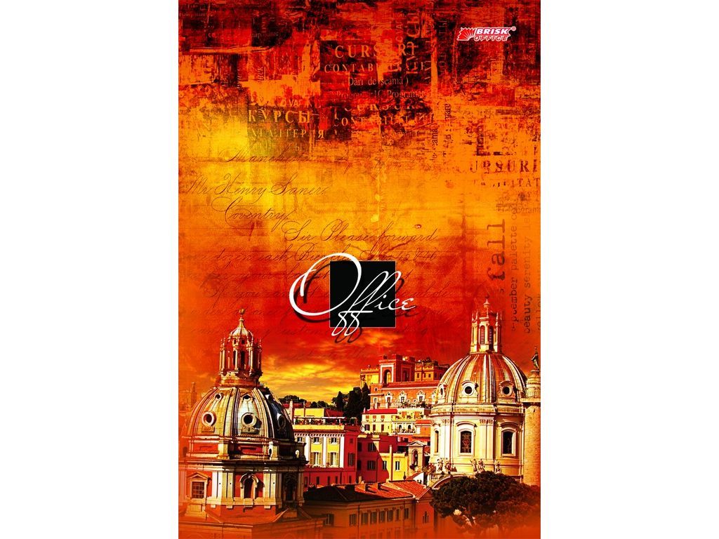 Книга обліку тверда обкладинка, 96арк., клітинка Бріск - фото 1