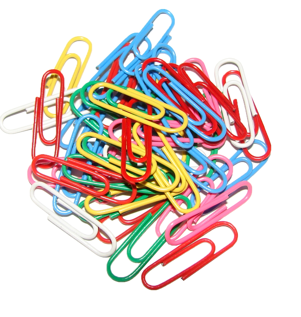 Скрепки 28мм., цветные, прямые, 100шт., картон. уп. Scholz - фото 1