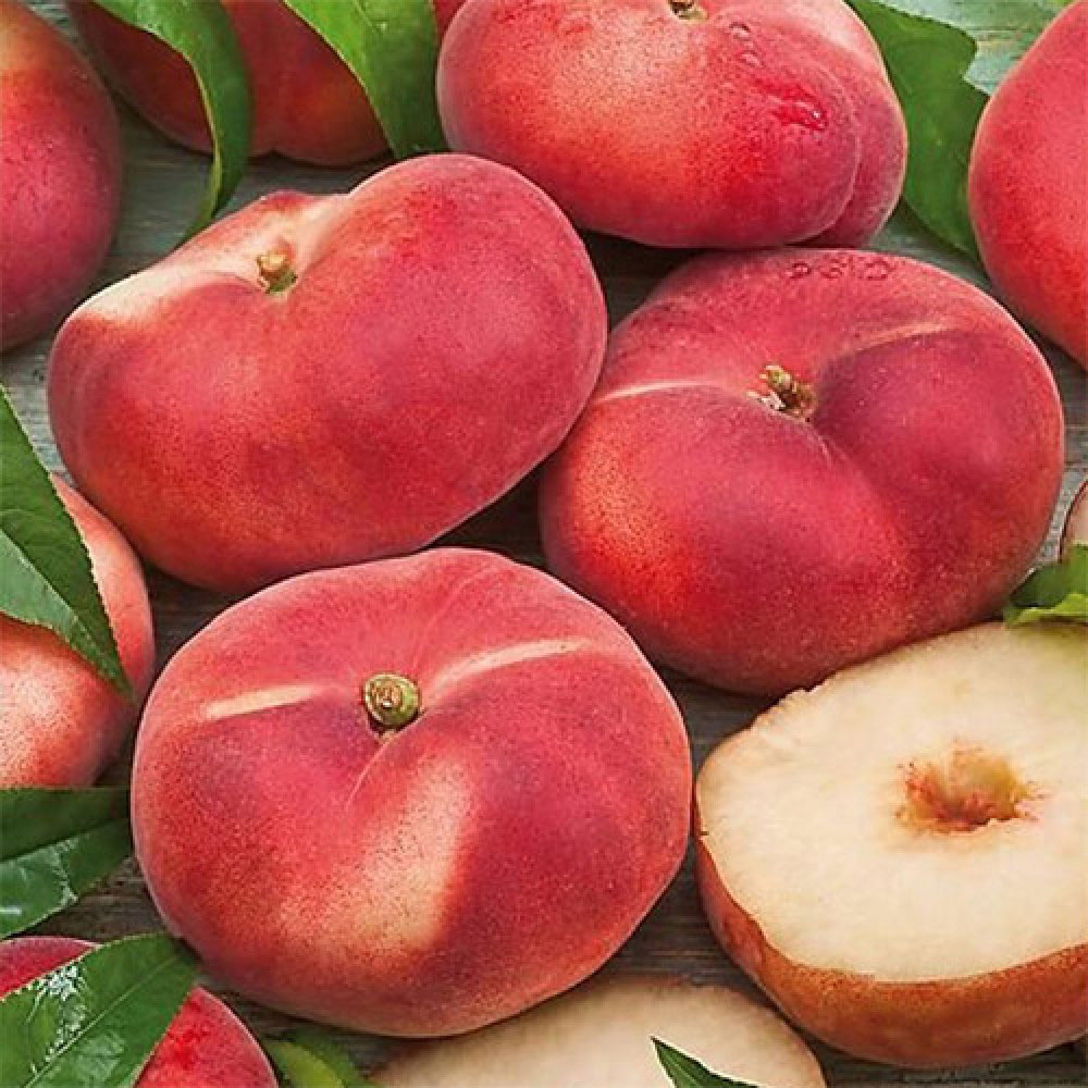 Персик инжирный Испания - фото 1