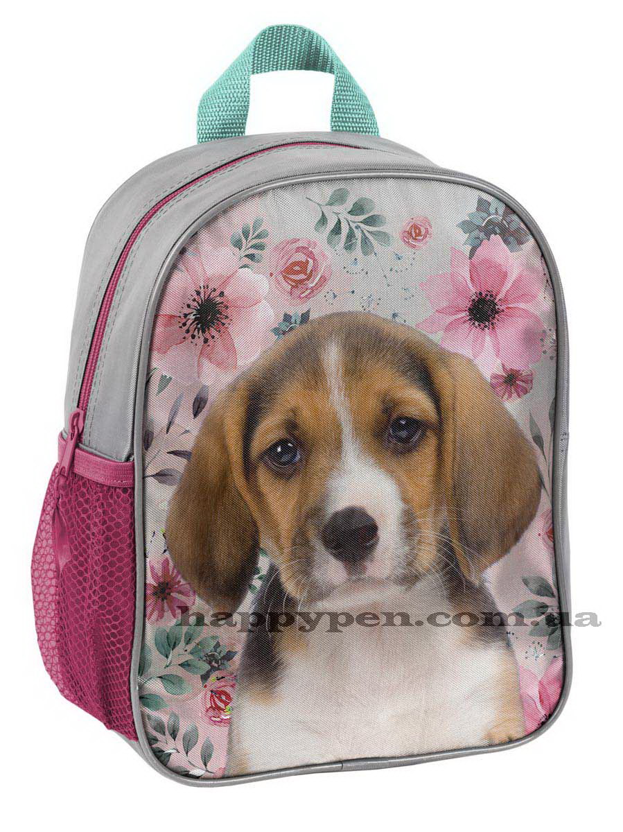 Рюкзак 18-303PS Paso - фото 1