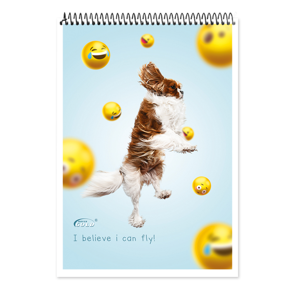 Блокнот А5 на спирали 80л., кл. Gold Бриск - фото 1