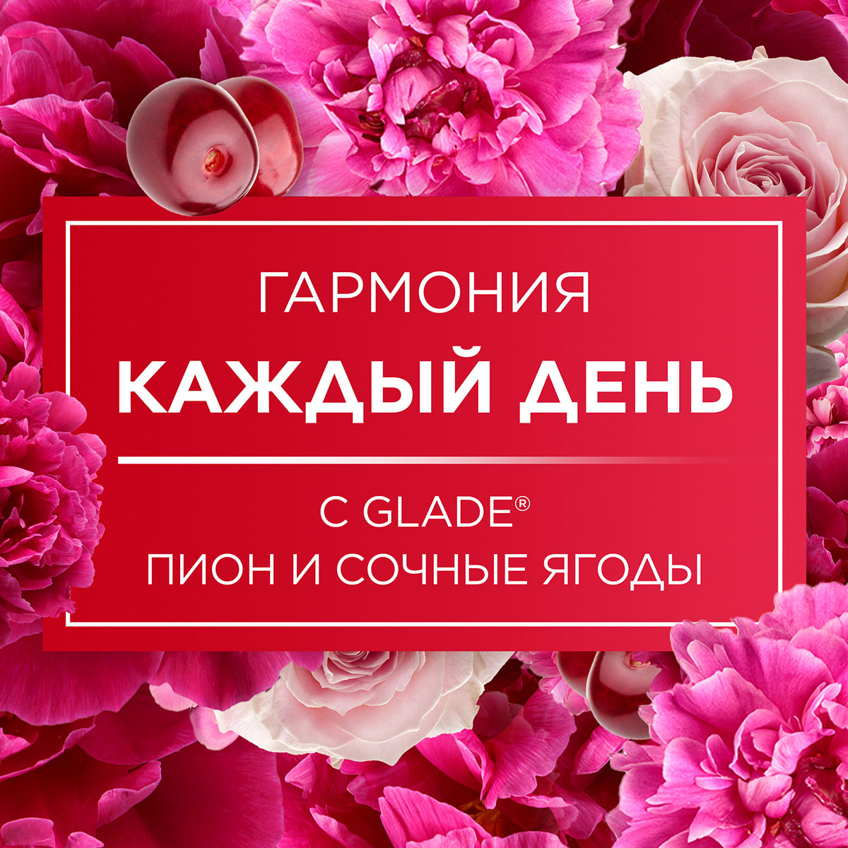 Автоматичний освіжувач повітря аерозоль Glade Півонія та соковиті ягоди GLADE - фото 5