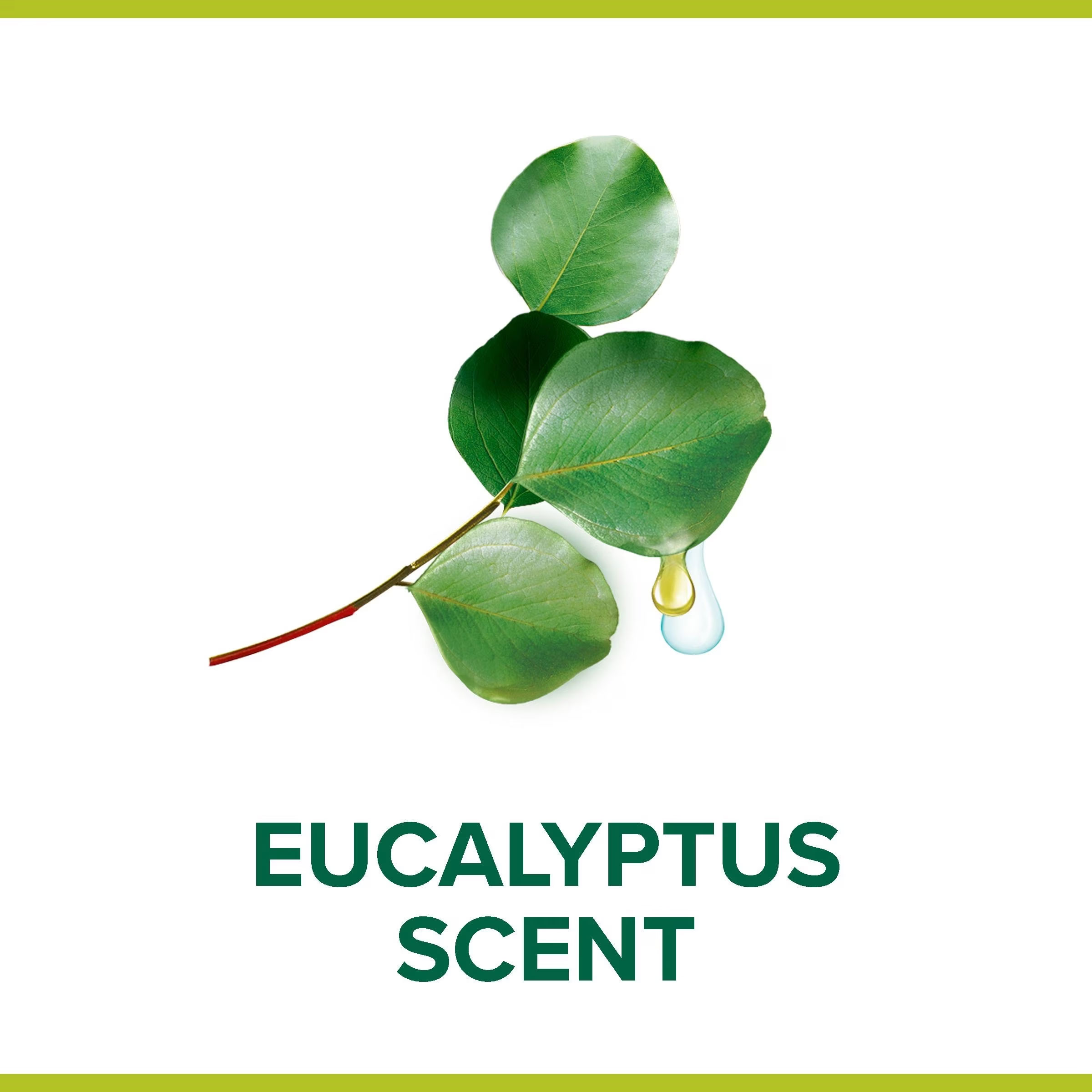 Мыло, 90гр. Hygiene Plus Чистота и Свежесть Эвкалипт, антибактериальное (8718951392472) Palmolive - фото 3