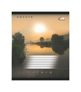 Тетрадь школьная 96л., кл. Бриск - фото 1