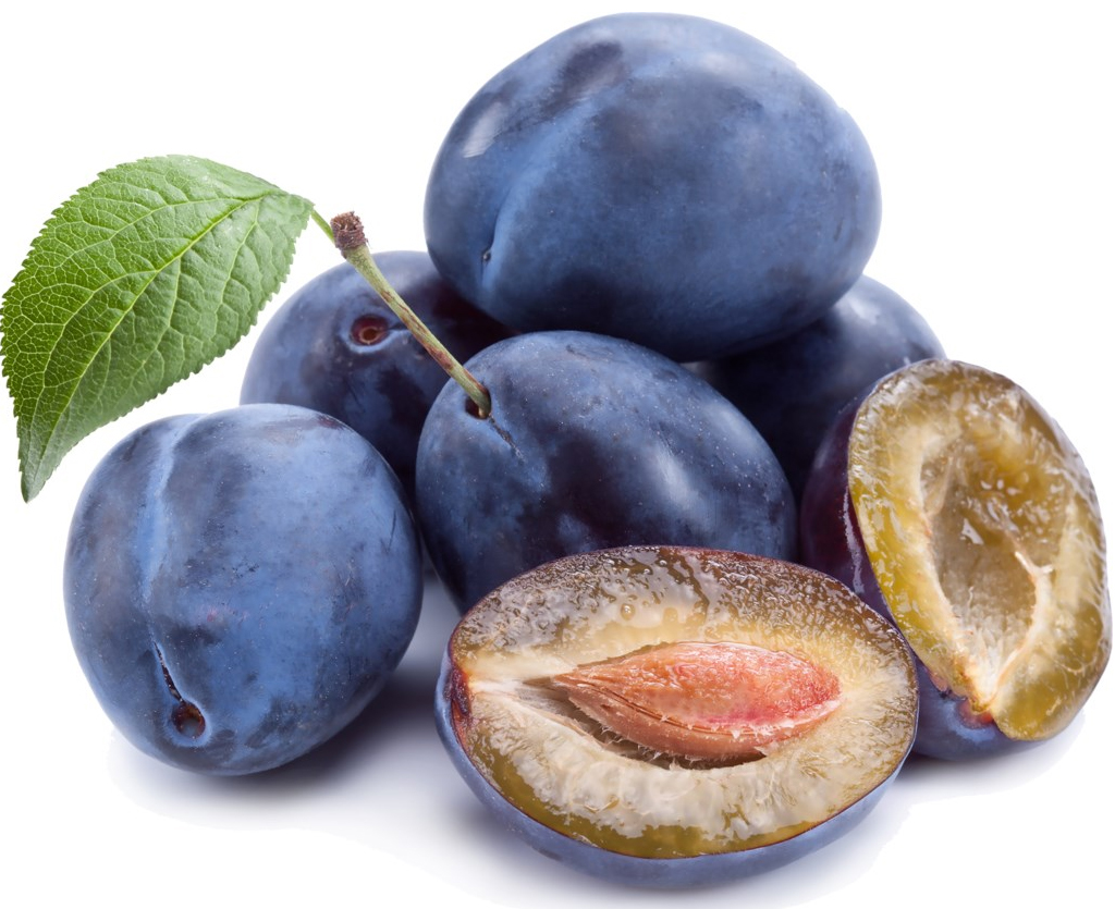 Слива Україна - фото 1