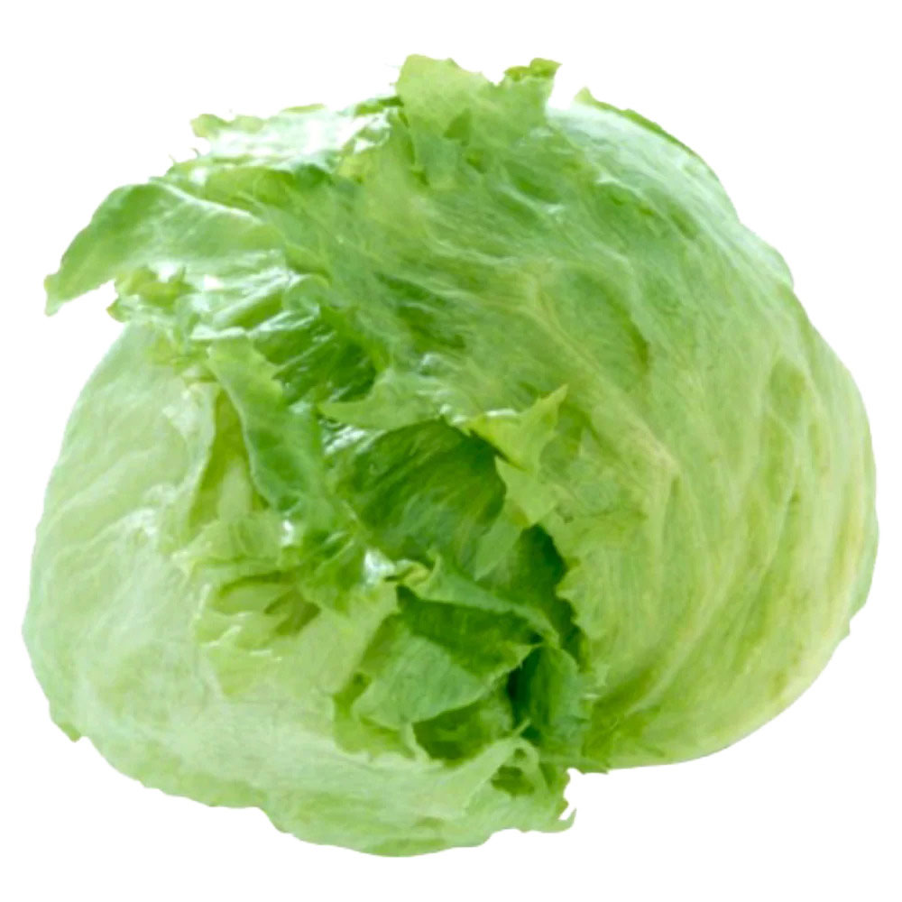 Салат Айсберг Україна - фото 2