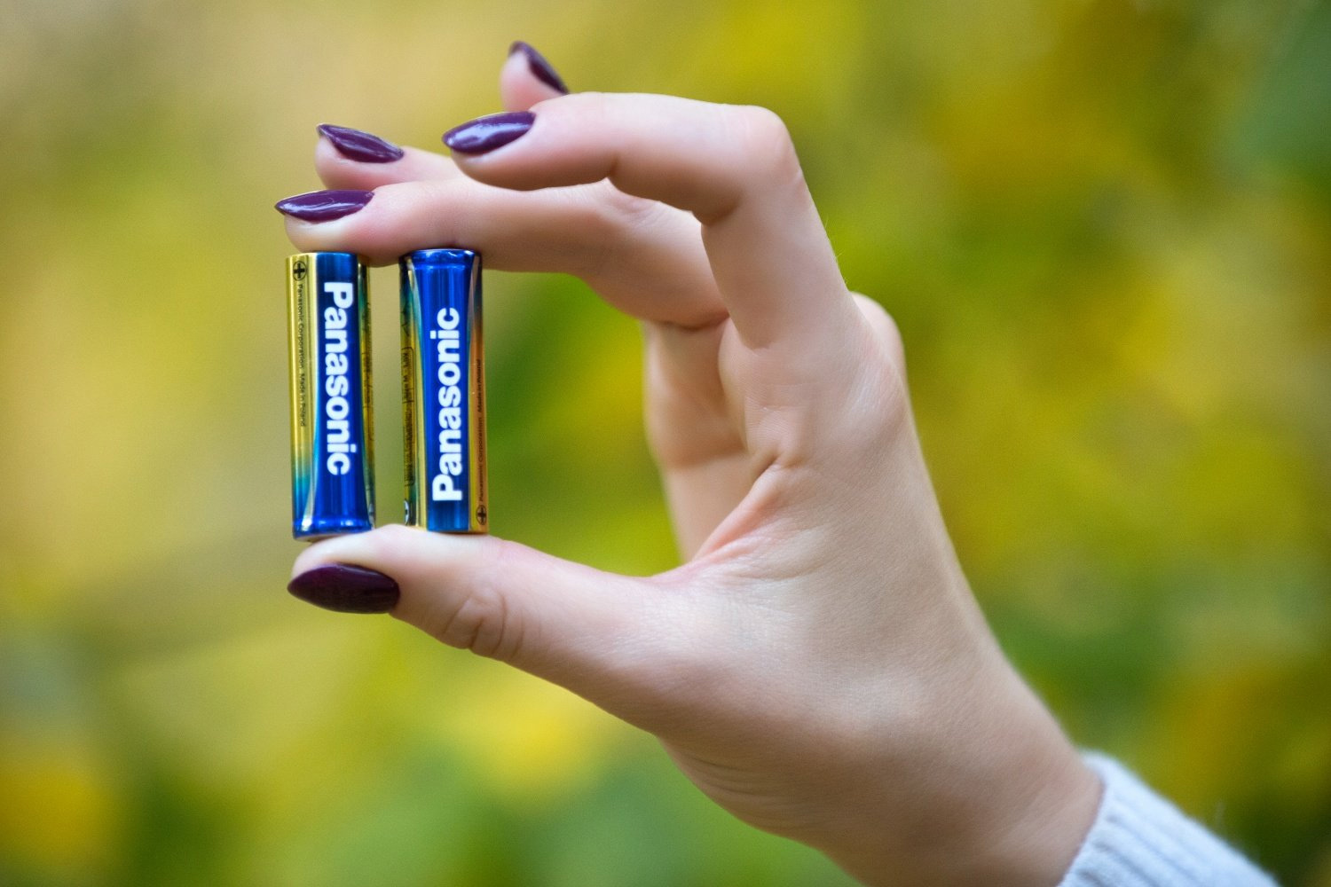 Батарейка LR6 (AA) EVOLTA, 4шт./уп. Panasonic - фото 4