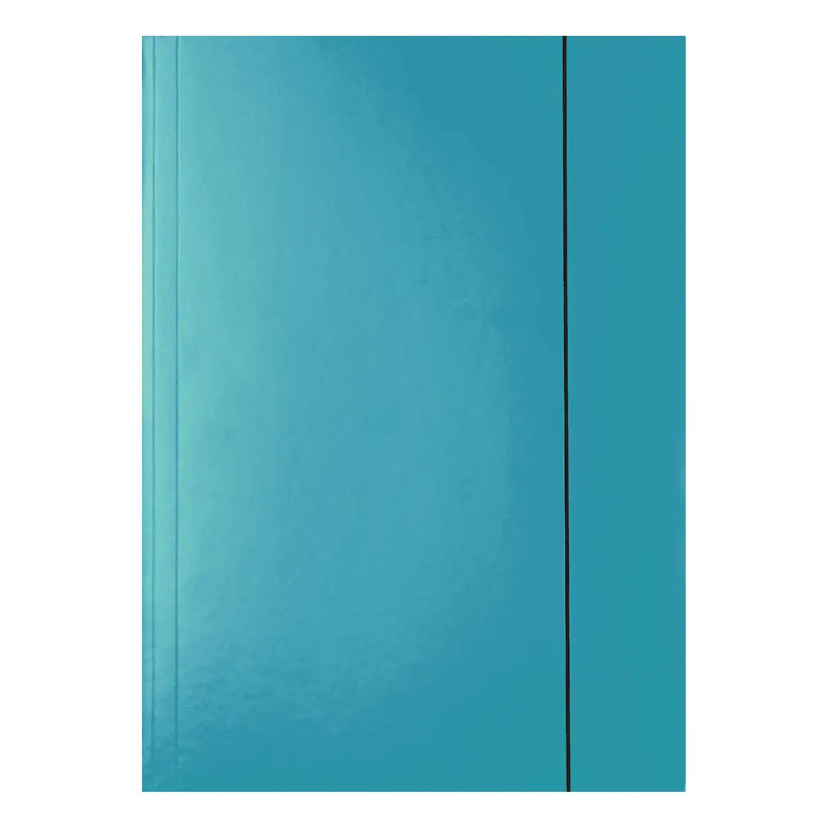 Папка на гумці А4, картон, син. Esselte - фото 1