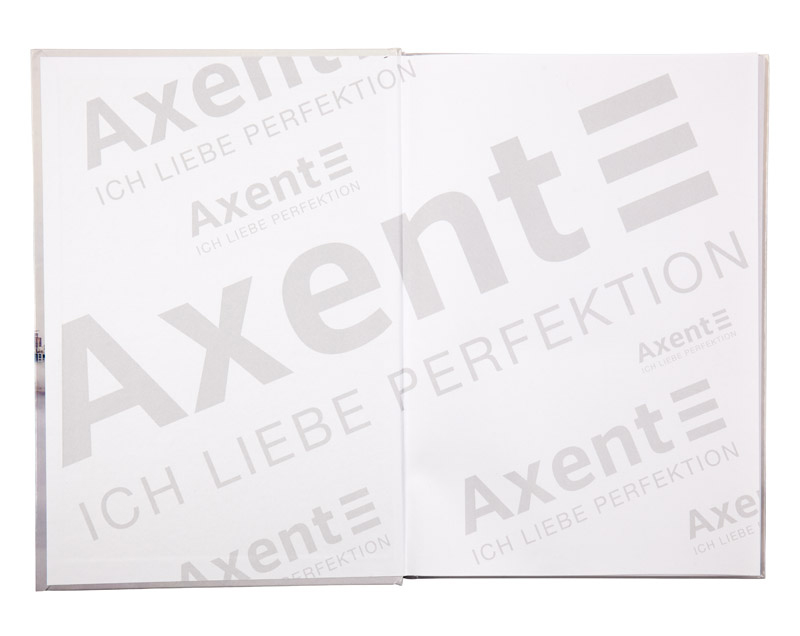 Книга обліку тверда обкладинка, 192арк., клітинка Axent - фото 1